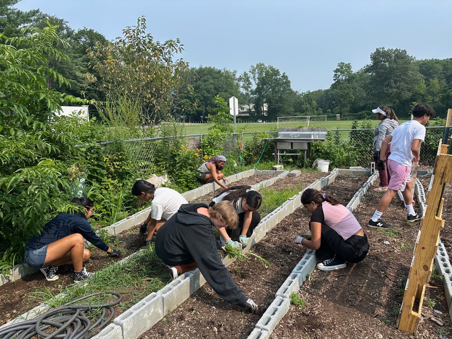 Workplace image 6 GARDENS